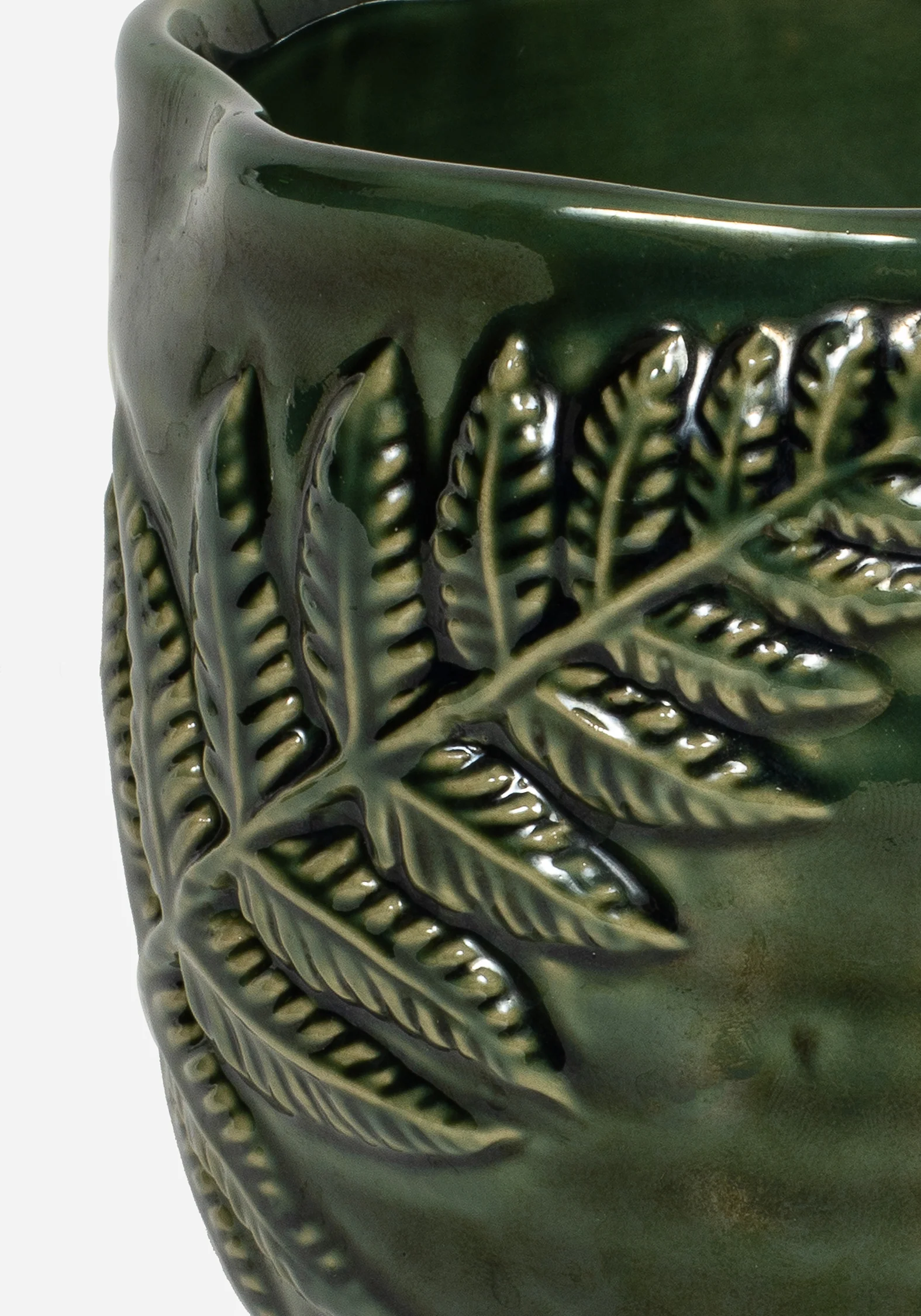 Fern Mug - Image 2