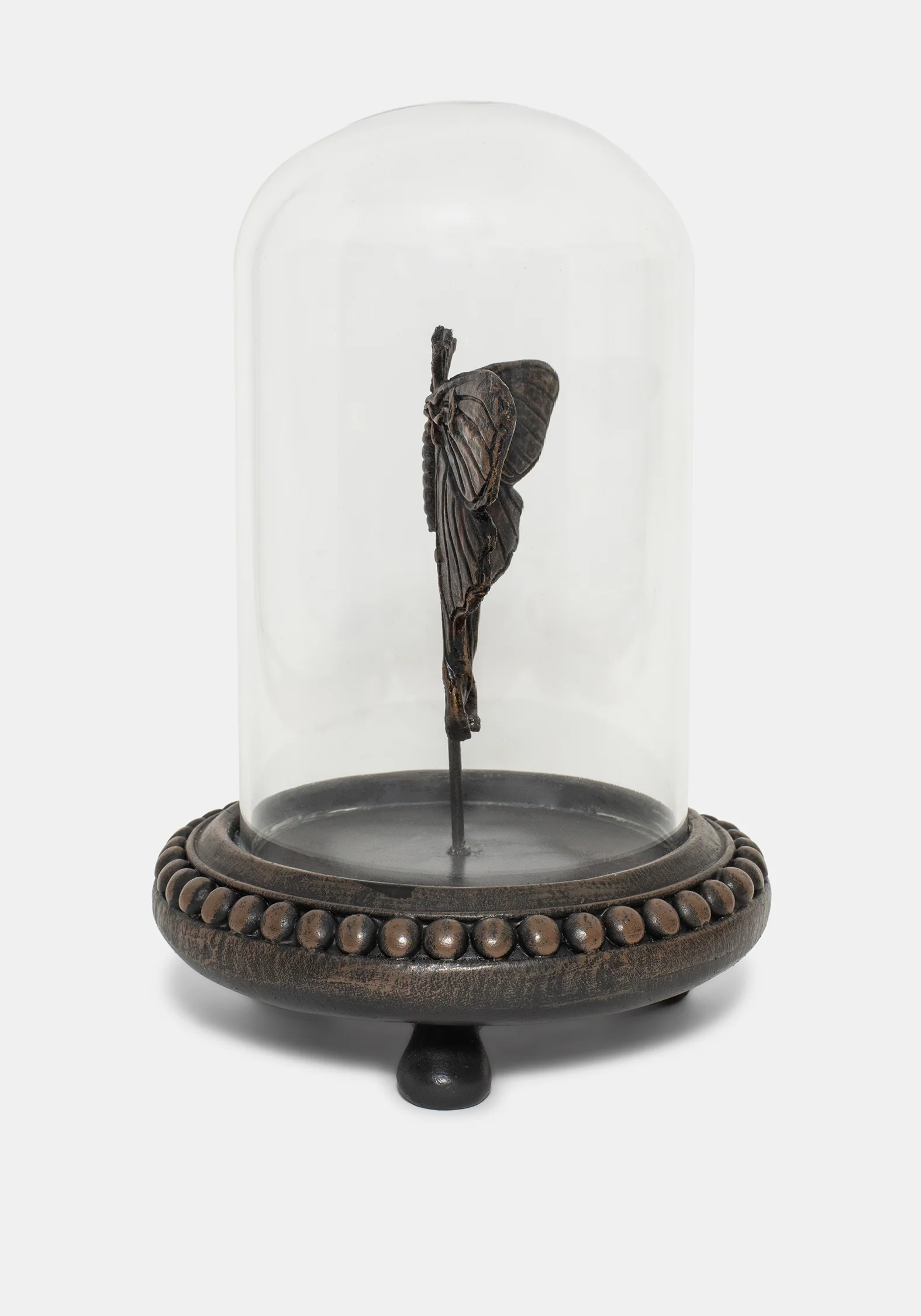Luna Moth In Jar - Image 4
